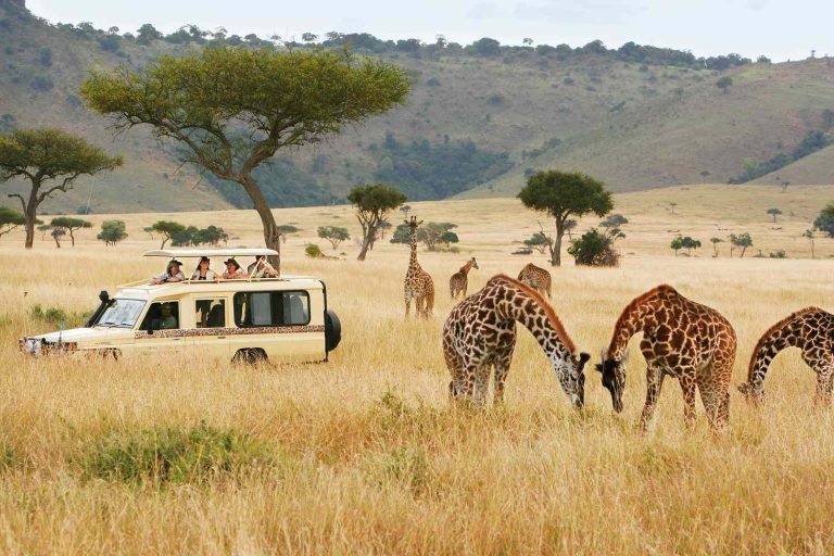 Kili Safari & Mombasa Beach Holiday